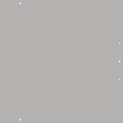 PP210152-20241206-871