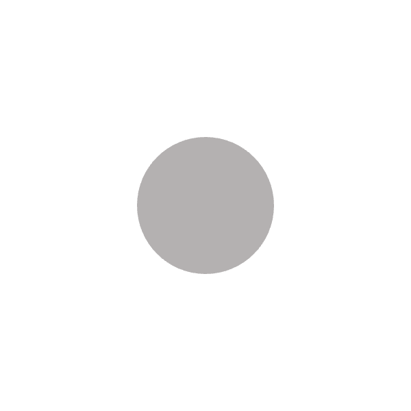 P-011558-20260128-981